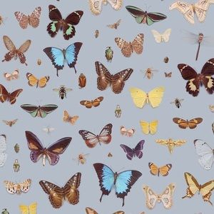 Meet your Posher, Esme